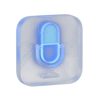 mic icon